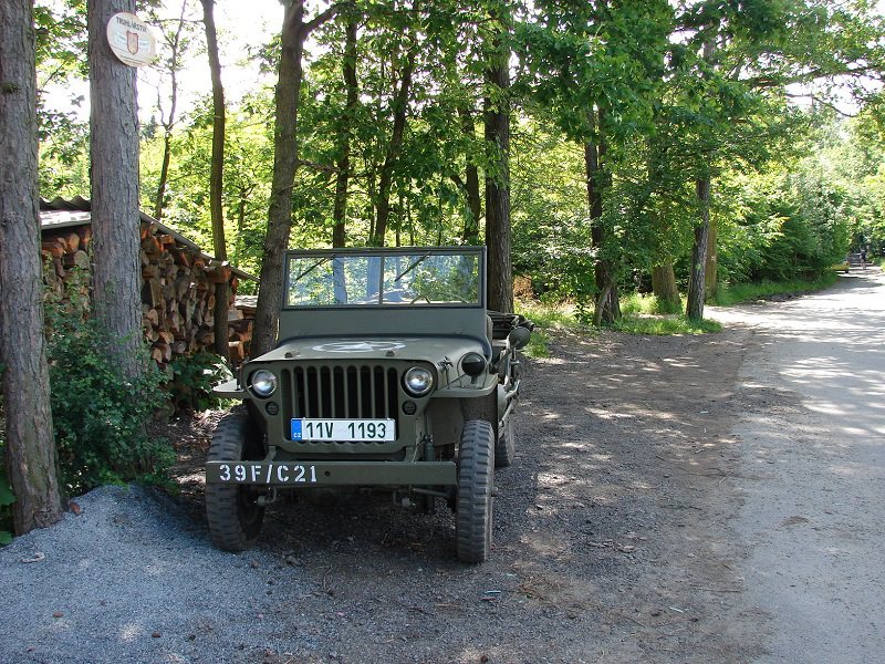 32