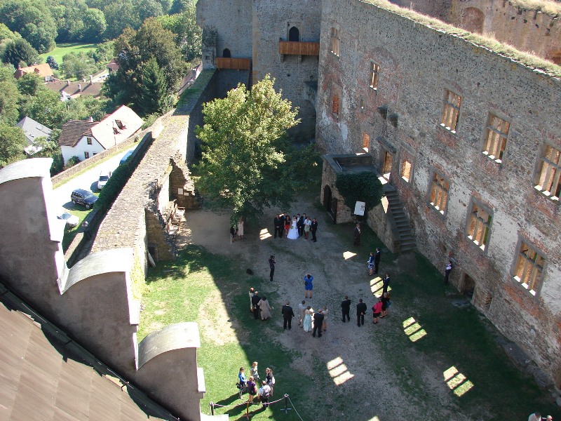 26