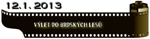 (12.1. 2013) Výlet do Brdských lesů